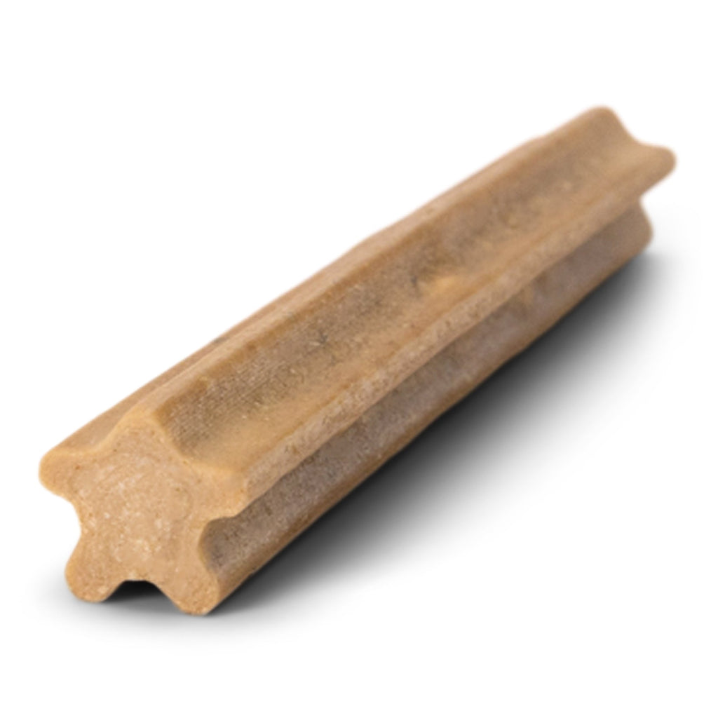 Natural Dental Sticks Small