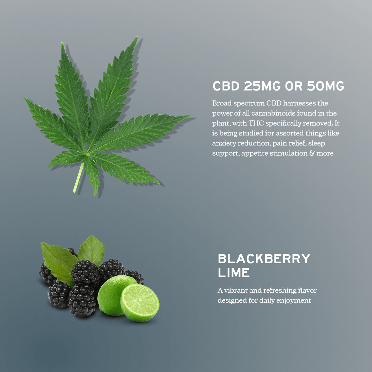 Broad Spectrum CBD Gummies - THC Free